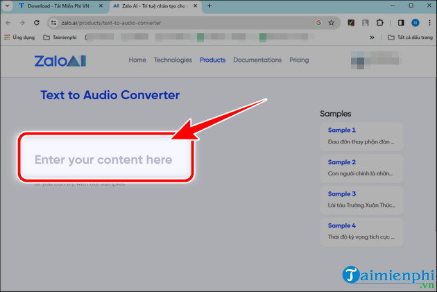 How to convert text to speech using Zalo AI Text To Speech Picture 2