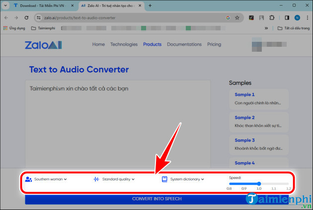 How to convert text to speech using Zalo AI Text To Speech Picture 3