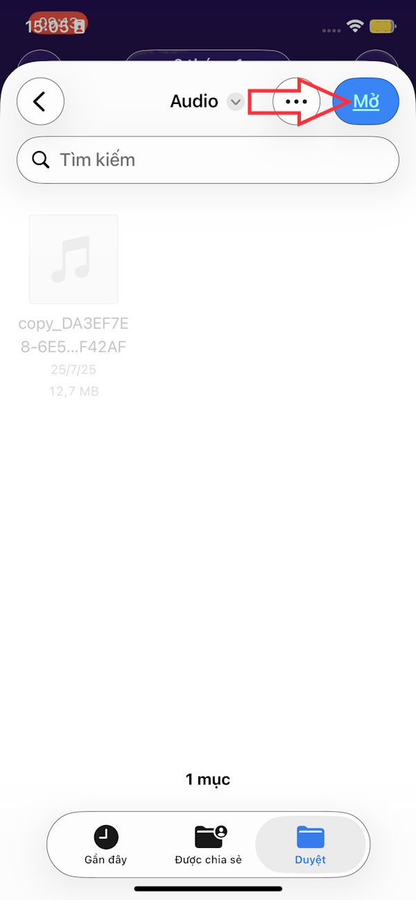How to Convert Video to Audio on iPhone Picture 20