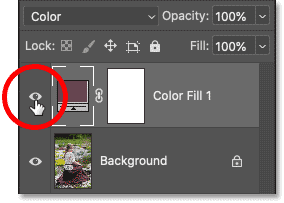 How to Create a Monochrome Color Effect in Photoshop Picture 14