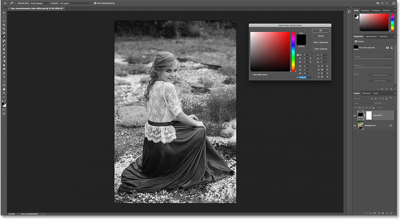 How to Create a Monochrome Color Effect in Photoshop Picture 19