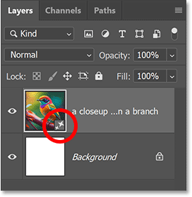 How to create AI images in Photoshop using Adobe Firefly Picture 16