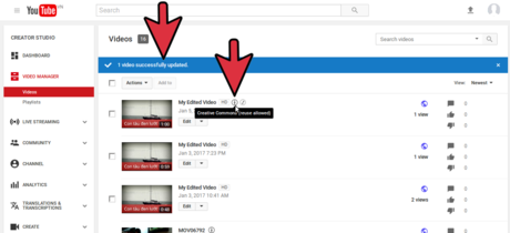 How to Create and Edit Videos in YouTube Video Editor Picture 32