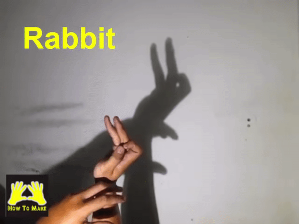 Picture 10 of Simple ways to create animal shapes by hand will keep your child entertained for hours.