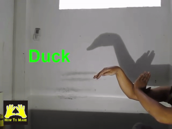 Picture 11 of Simple ways to create animal shapes by hand will keep your child entertained for hours.