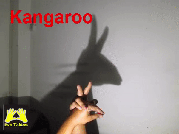 Picture 2 of Simple ways to create animal shapes by hand will keep your child entertained for hours.