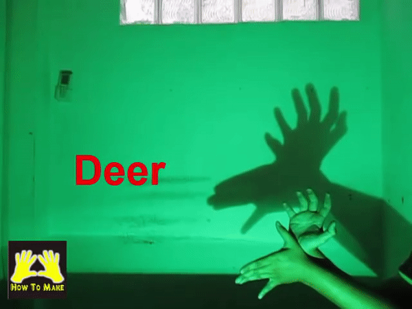 Picture 3 of Simple ways to create animal shapes by hand will keep your child entertained for hours.