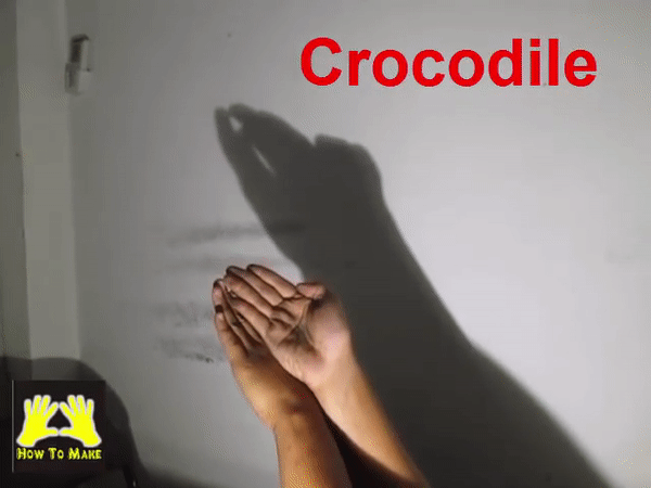 Picture 4 of Simple ways to create animal shapes by hand will keep your child entertained for hours.