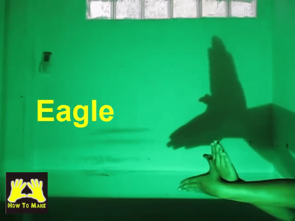 Picture 6 of Simple ways to create animal shapes by hand will keep your child entertained for hours.