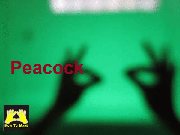 Picture 8 of Simple ways to create animal shapes by hand will keep your child entertained for hours.