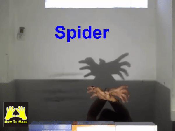 Picture 9 of Simple ways to create animal shapes by hand will keep your child entertained for hours.