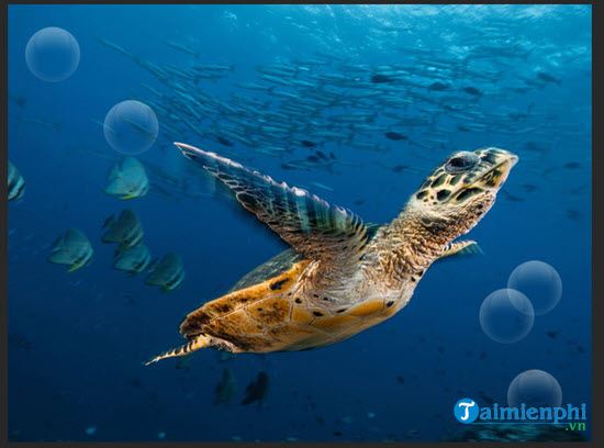 How to create water bubbles in Photoshop Picture 15