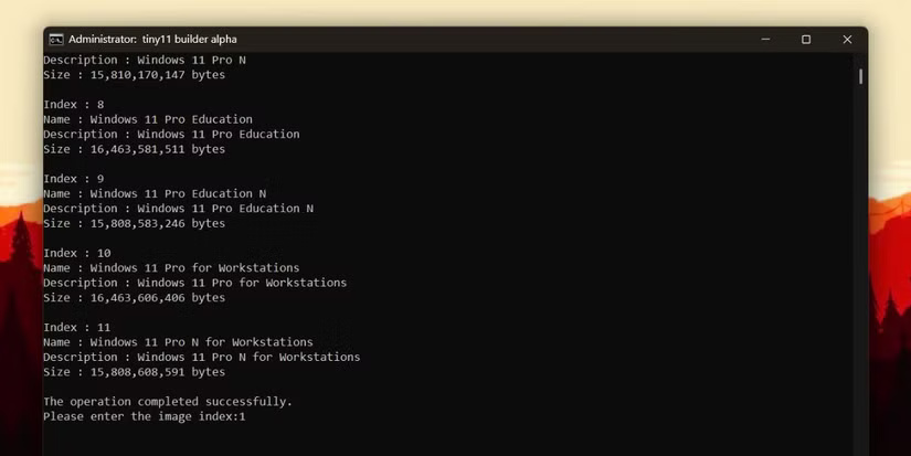 How to create Windows 11 ISO image using Tiny11 Builder Picture 3