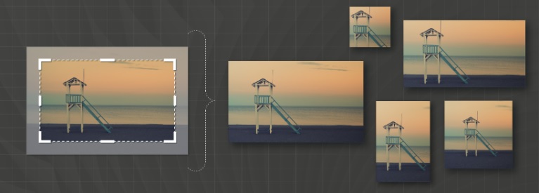 Picture 1 of How to crop images in Adobe Illustrator