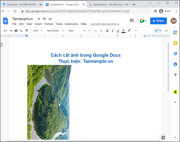 Picture 7 of How to crop images in Google Docs, Google Documents