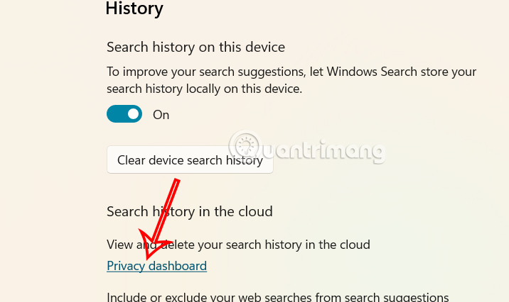 How to delete search history on Windows 11 Picture 4