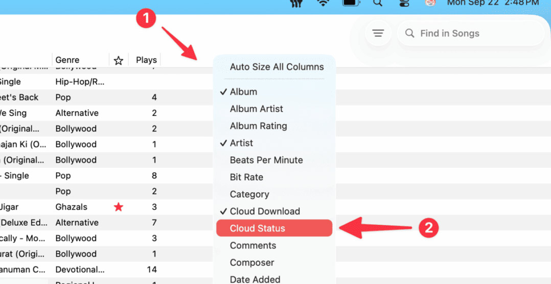 How to delete music uploaded to iCloud Picture 1
