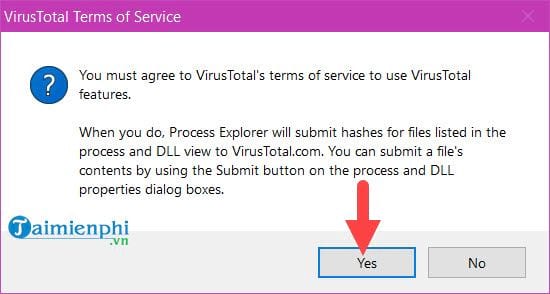 How to detect viruses using Process Explorer quickly and effectively Picture 6