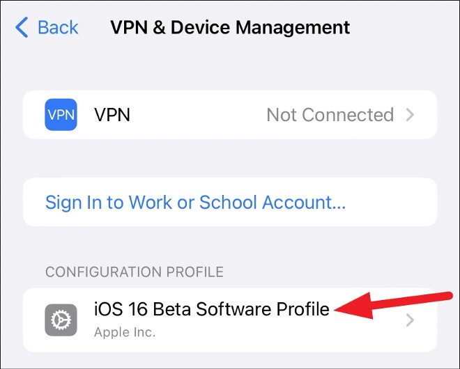 How to Downgrade from iOS 16 Beta 1 to iOS 15 Picture 3