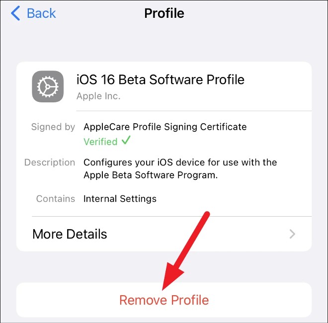 How to Downgrade from iOS 16 Beta 1 to iOS 15 Picture 4