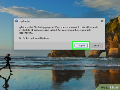 How to Download and Open Torrent Files Picture 8