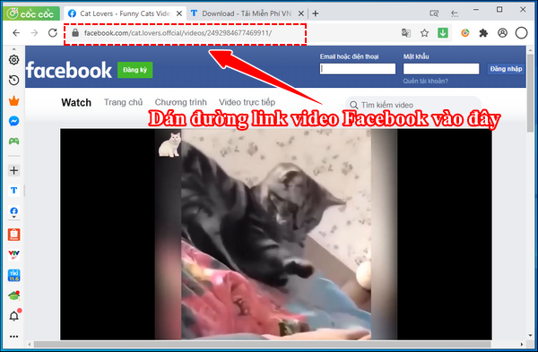 Picture 18 of How to download Facebook videos to your phone or computer online.