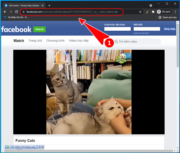 Picture 22 of How to download Facebook videos to your phone or computer online.