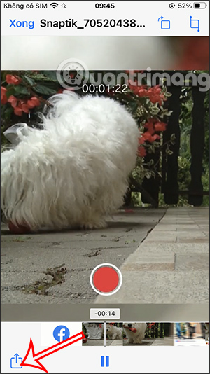 images 15 of How to download TikTok videos to your computer or phone.