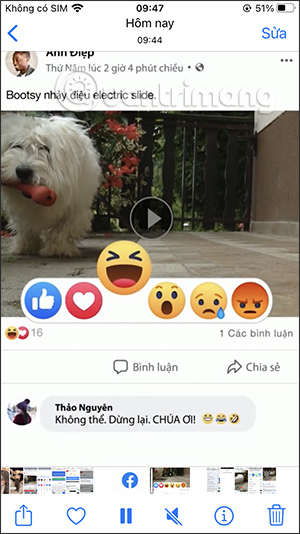 images 17 of How to download TikTok videos to your computer or phone.
