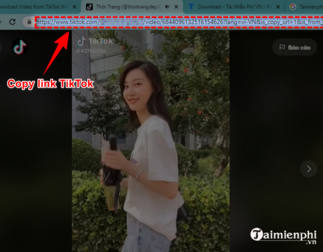 How to download TikTok videos without watermark on computer using x2convert Picture 1