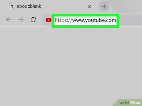 How to Download Videos from Youtube Picture 24