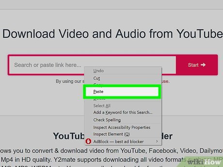 How to Download Videos from Youtube Picture 5
