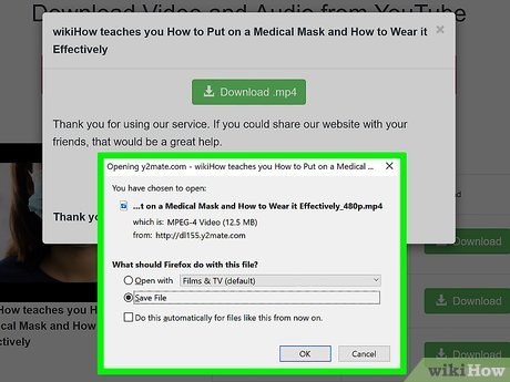 How to Download Videos from Youtube Picture 8
