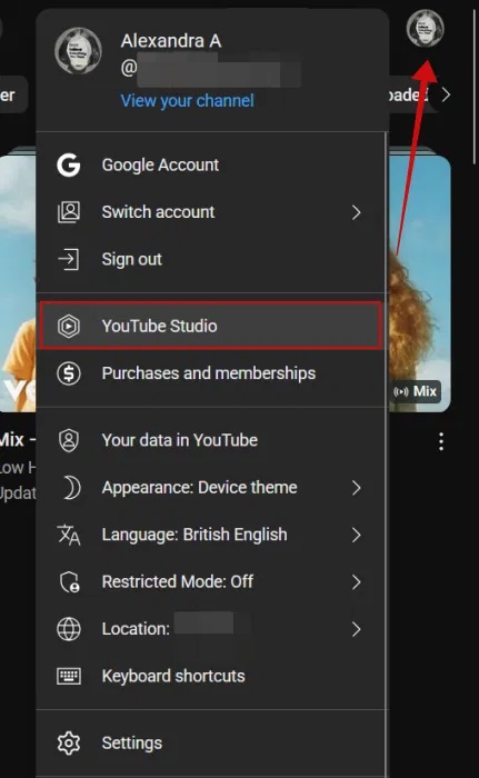 Picture 1 of How to download YouTube Shorts