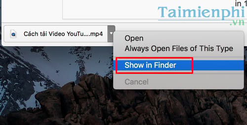 Picture 4 of How to download YouTube videos on a MacBook quickly