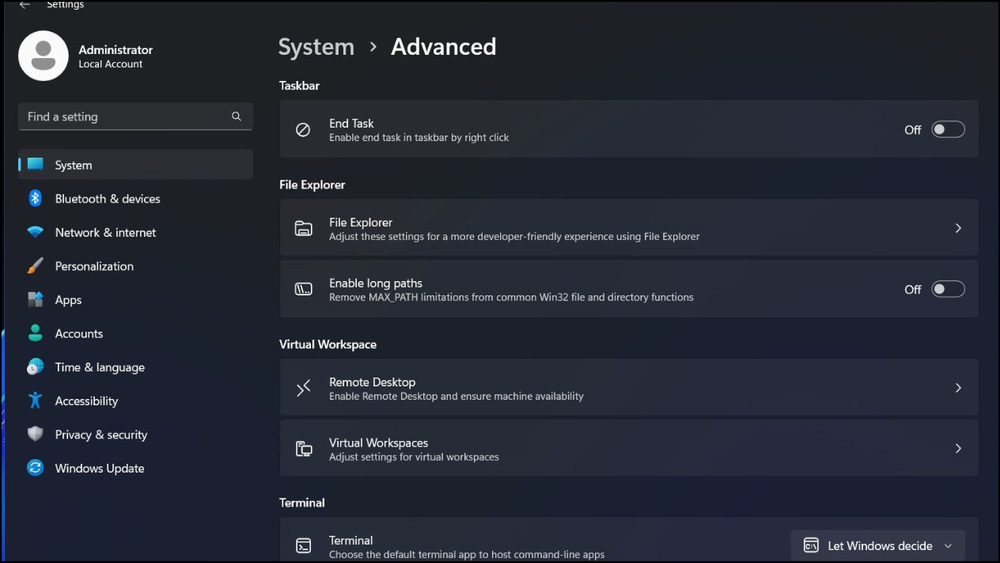 How to enable advanced settings on Windows 11 Picture 2