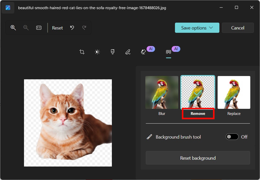 images 1 of How to enable and disable AI Actions in Windows 11