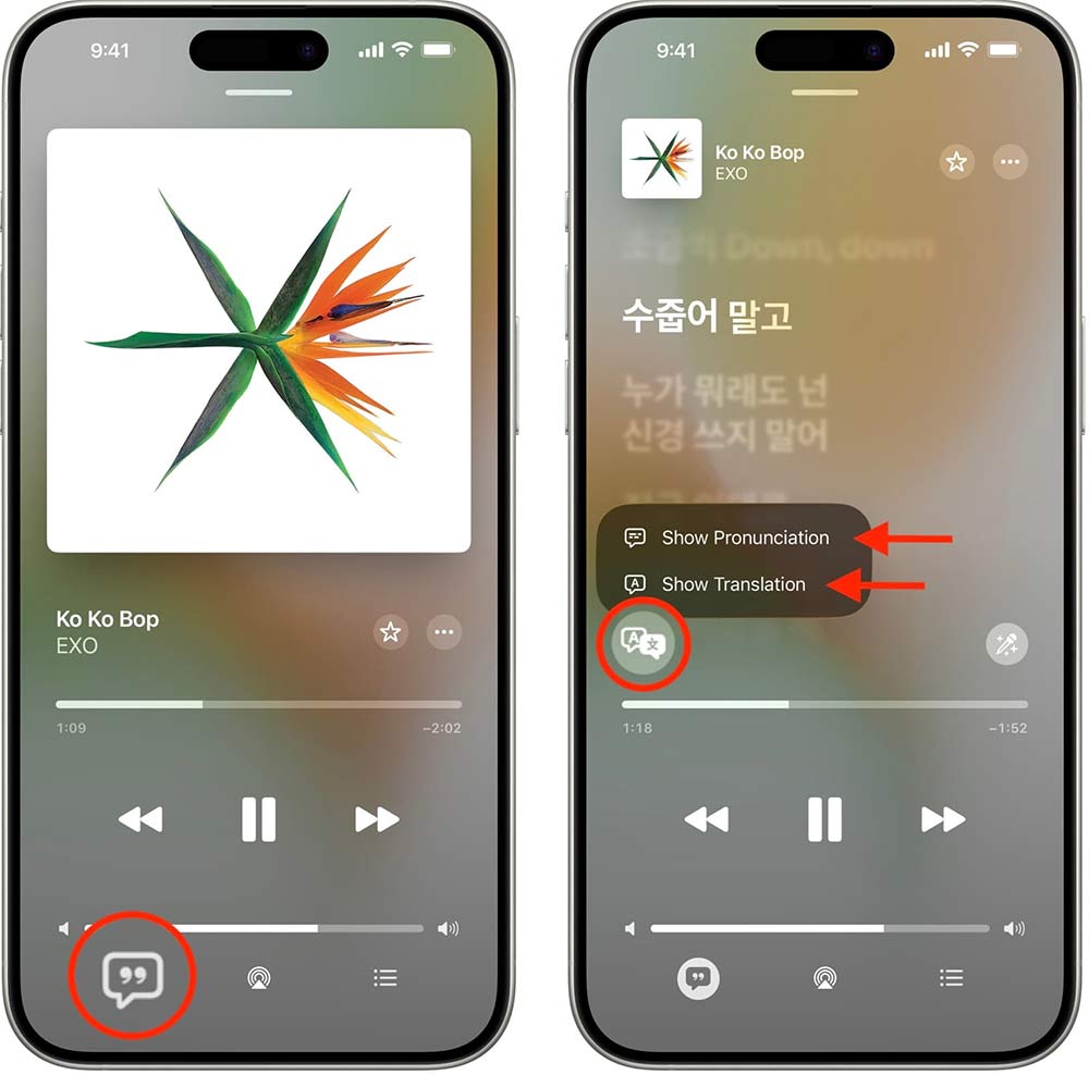 How to enable translated lyrics and pronunciation in Apple Music Picture 1