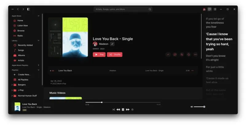 How to Experience Apple Music on Windows PC Picture 19