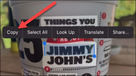 How to extract and copy text from photos taken on iPhone Picture 6