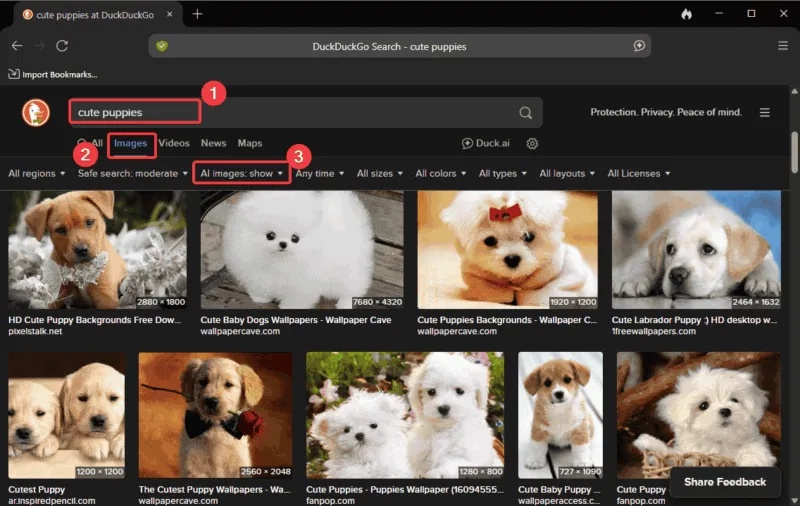 How to filter AI-generated images in DuckDuckGo search results Picture 1