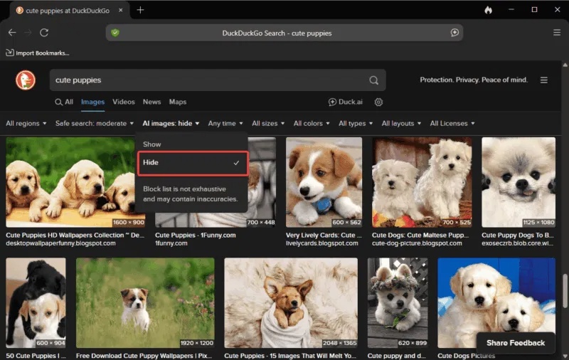 How to filter AI-generated images in DuckDuckGo search results Picture 2