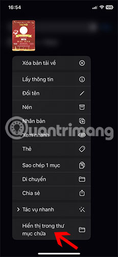How to find downloaded files on iPhone/iPad Picture 10