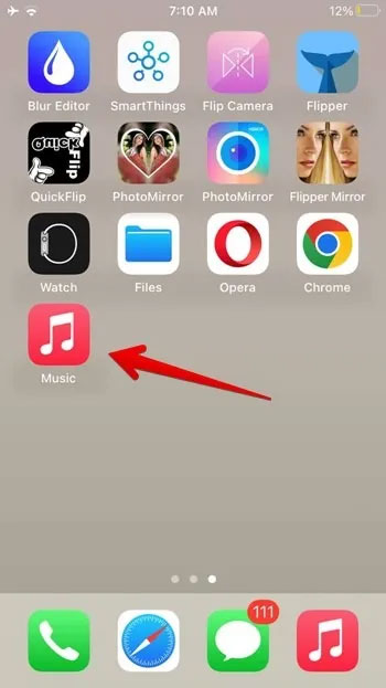 How to find downloaded files on iPhone/iPad Picture 12