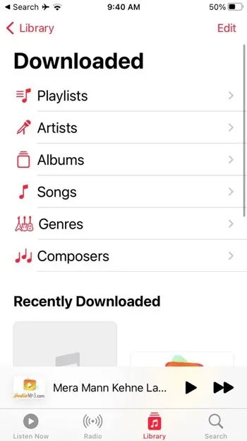 How to find downloaded files on iPhone/iPad Picture 14