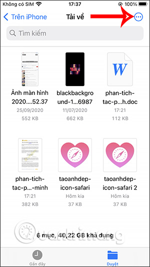 How to find downloaded files on iPhone/iPad Picture 3