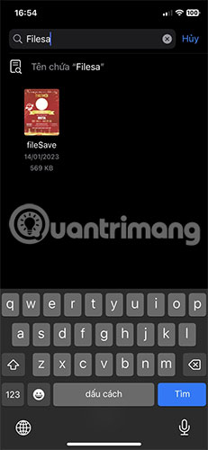 How to find downloaded files on iPhone/iPad Picture 9