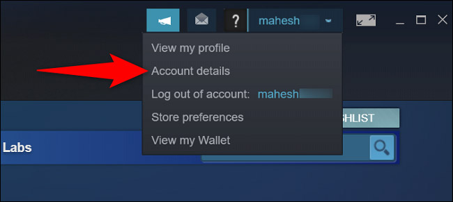 How to Find User Account ID on Steam, Customize Steam Profile URL Picture 1