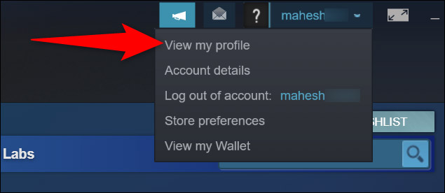 How to Find User Account ID on Steam, Customize Steam Profile URL Picture 3
