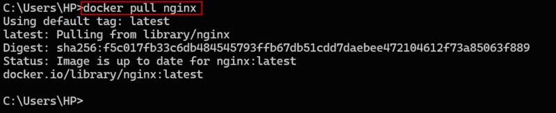 How to fix 'Docker: Invalid Reference Format' error Picture 2